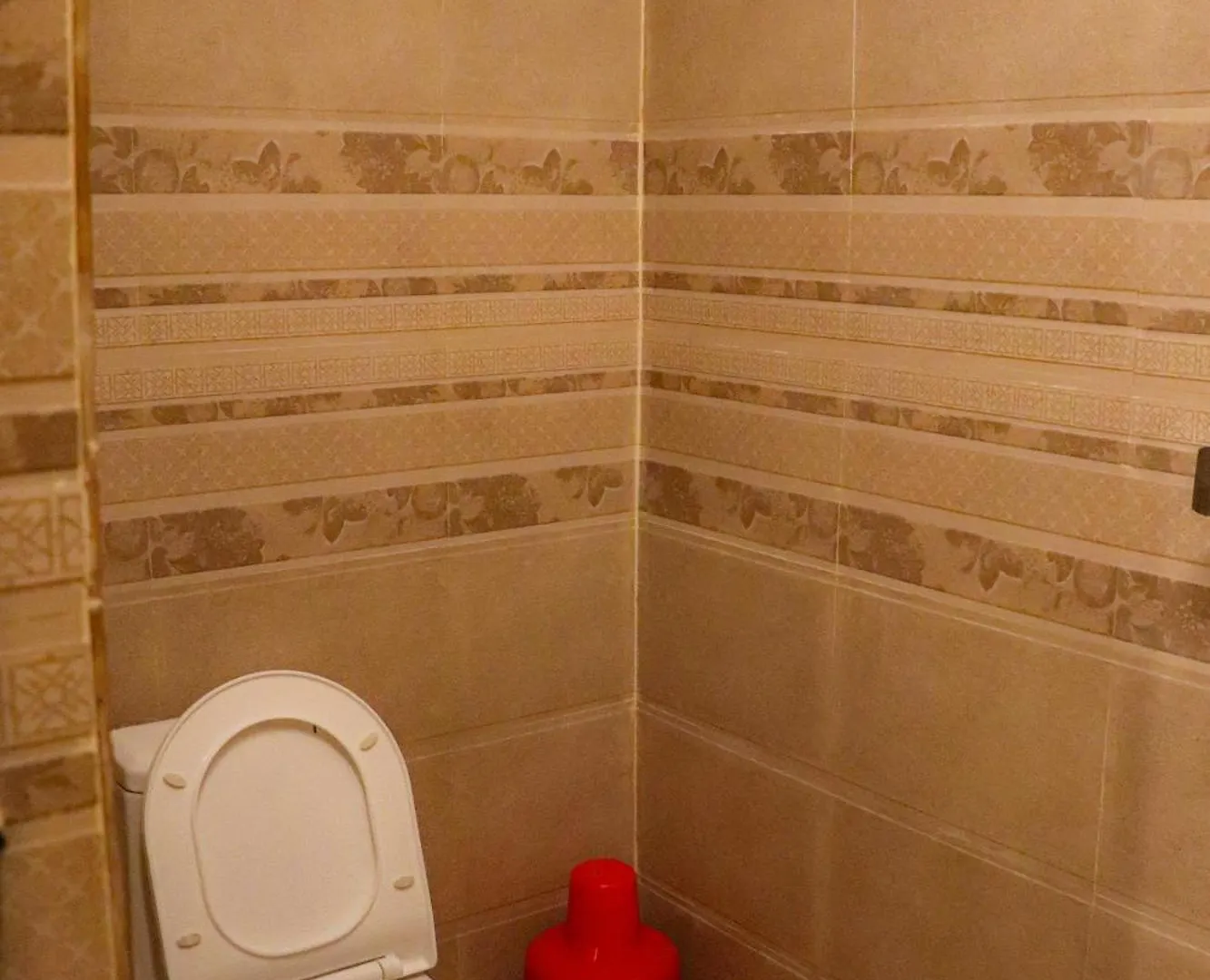 The Ganga Grand Pg Hotel Varanasi Guest house